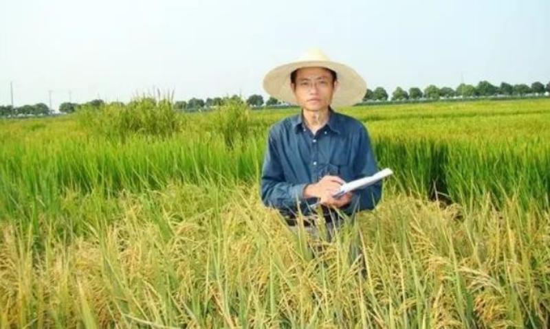 1775375571966409.jpg 图片4.jpg